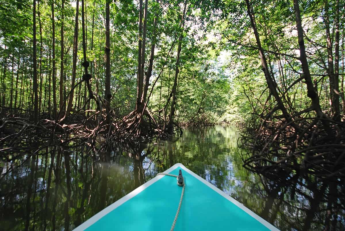 Costa Rica Travel: 8 Tips For A Safe & Pleasant Vacation