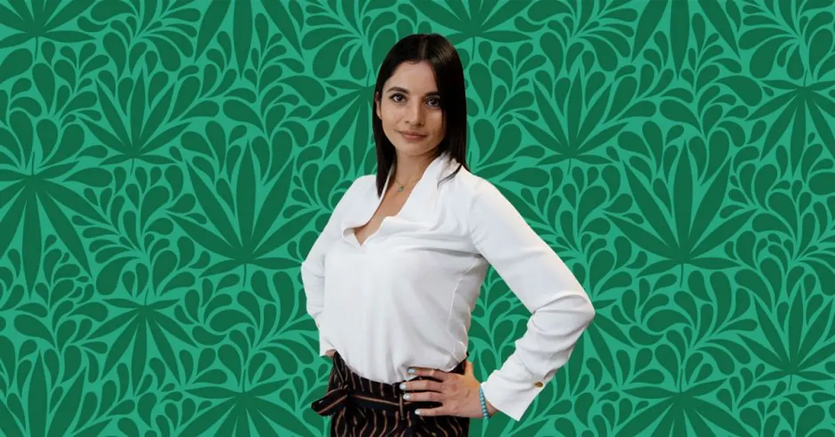 New Businesses, New Taxes, Fewer People in Jail: What Promises Does Recreational Marijuana have in store for Costa Rica